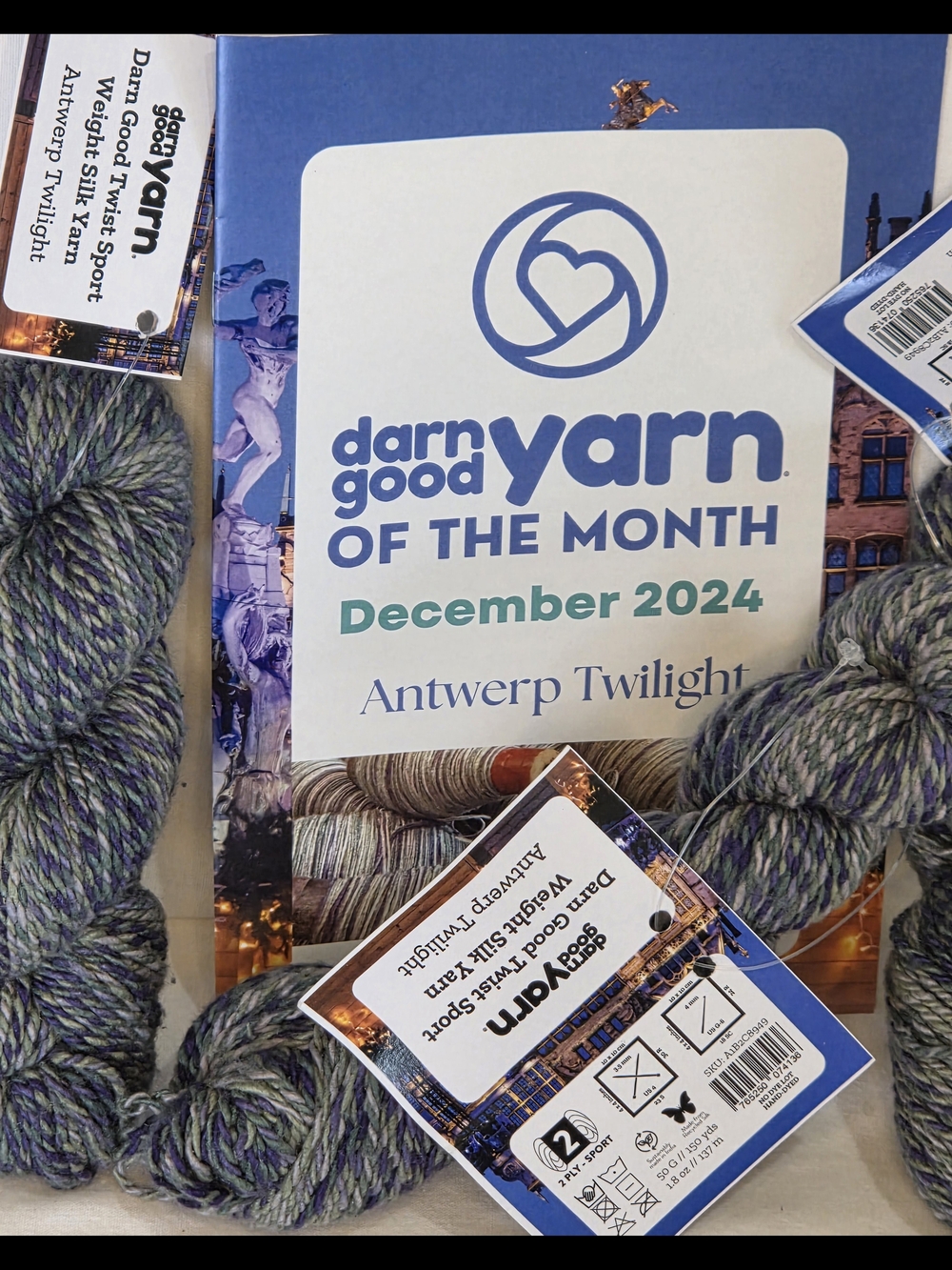 Darn Good Yarn Antwerp Twilight - Silk Yarn 3 Skeins and Pattern Book
